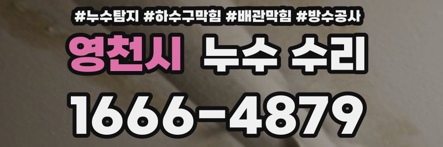 영천시 누수 수리