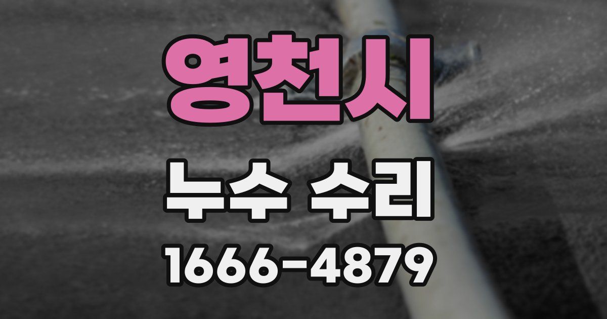 영천시 누수 수리