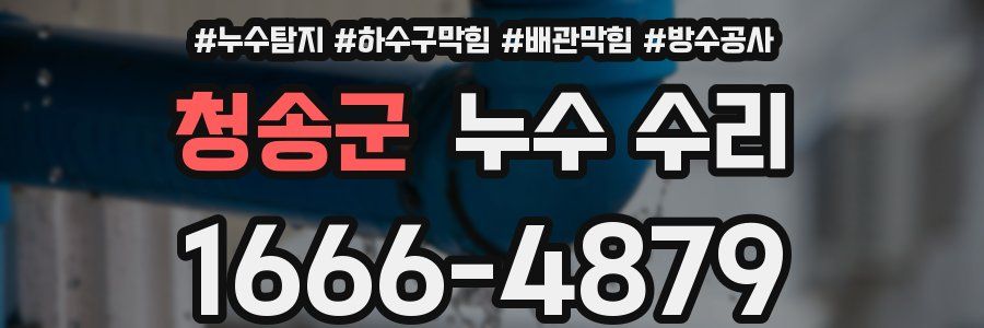 청송군 누수 수리