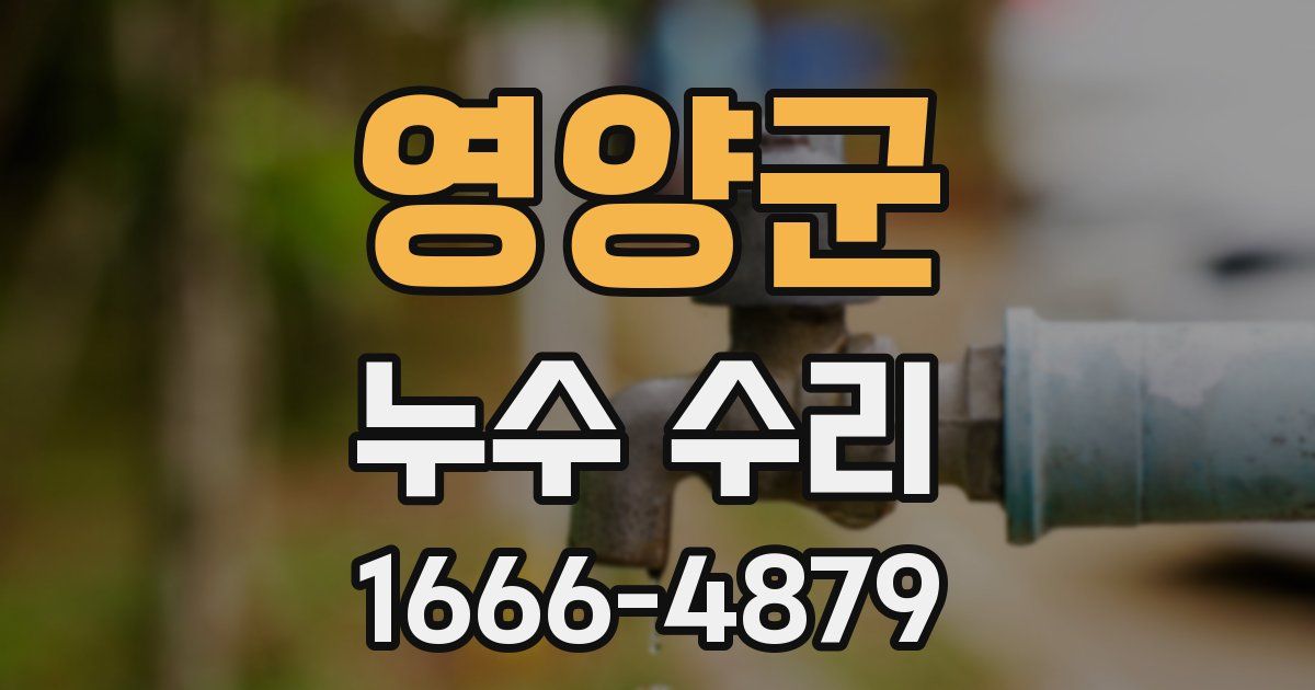 영양군 누수 수리
