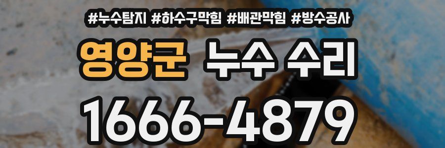 영양군 누수 수리