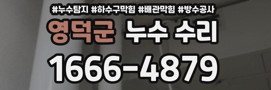 영덕군 누수 수리