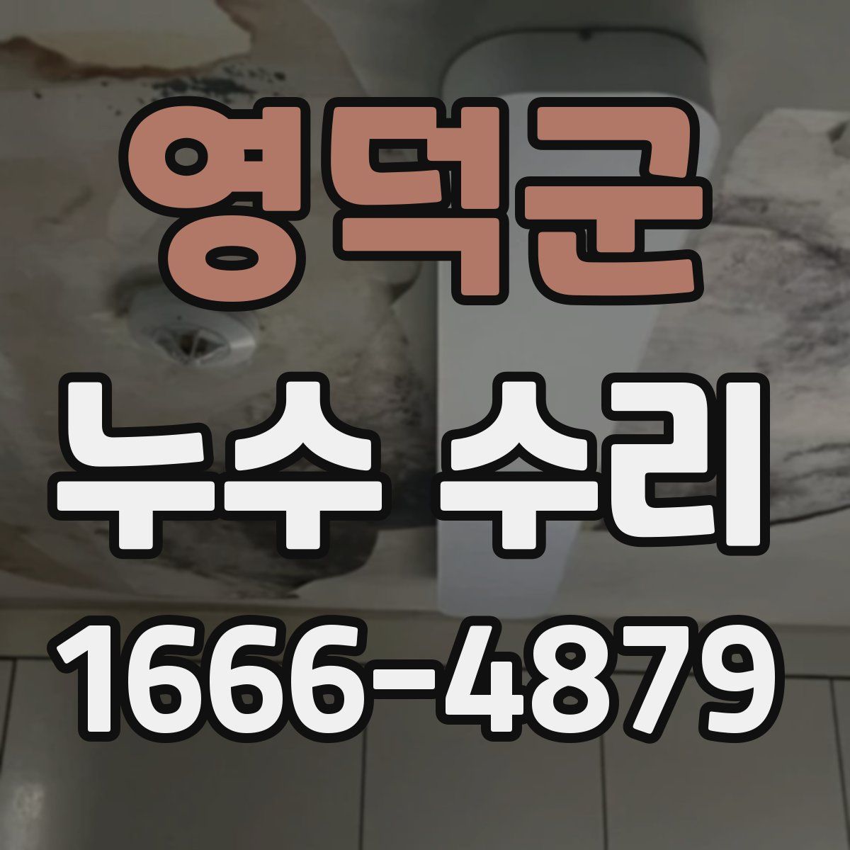 영덕군 누수 수리