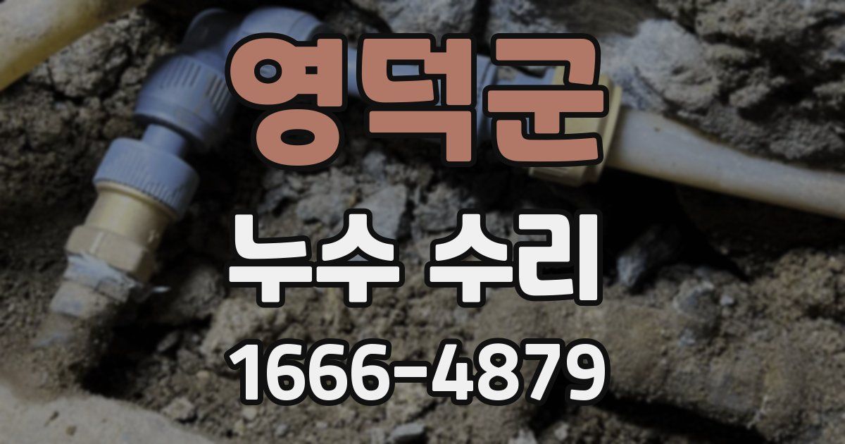 영덕군 누수 수리