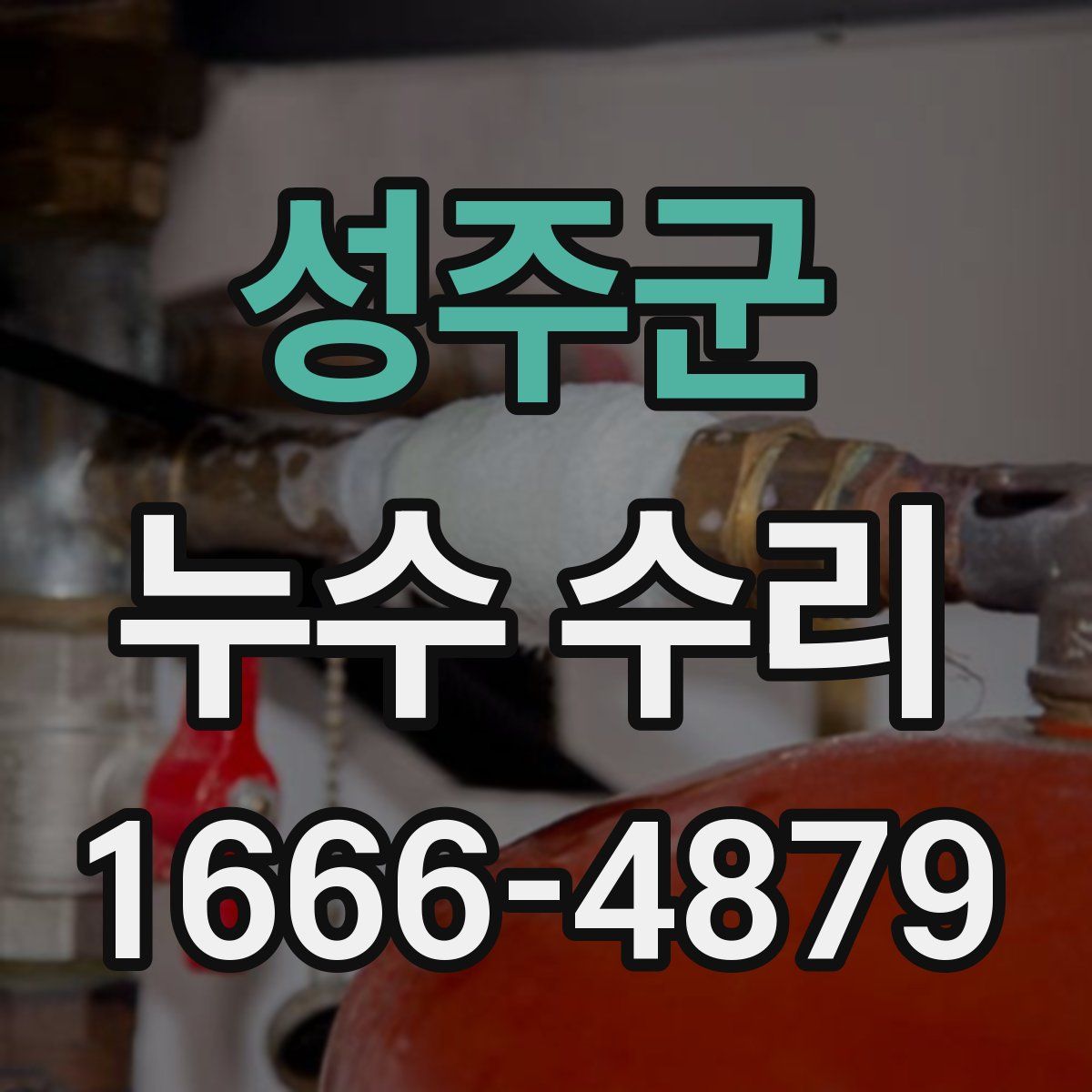 성주군 누수 수리