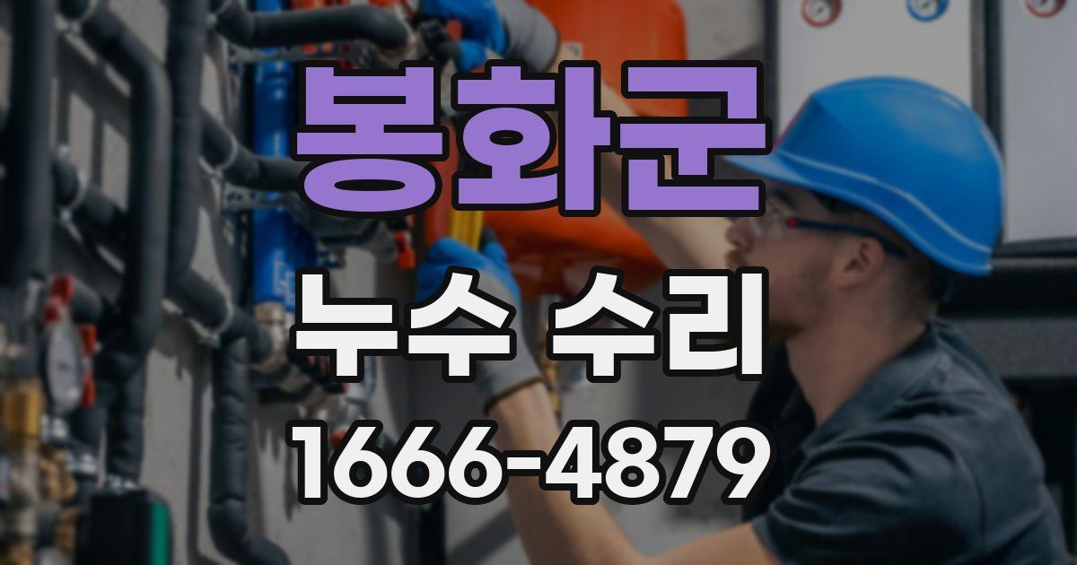 봉화군 누수 수리