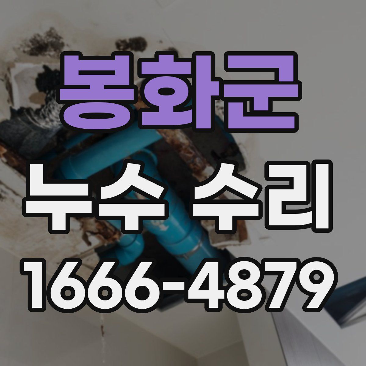 봉화군 누수 수리