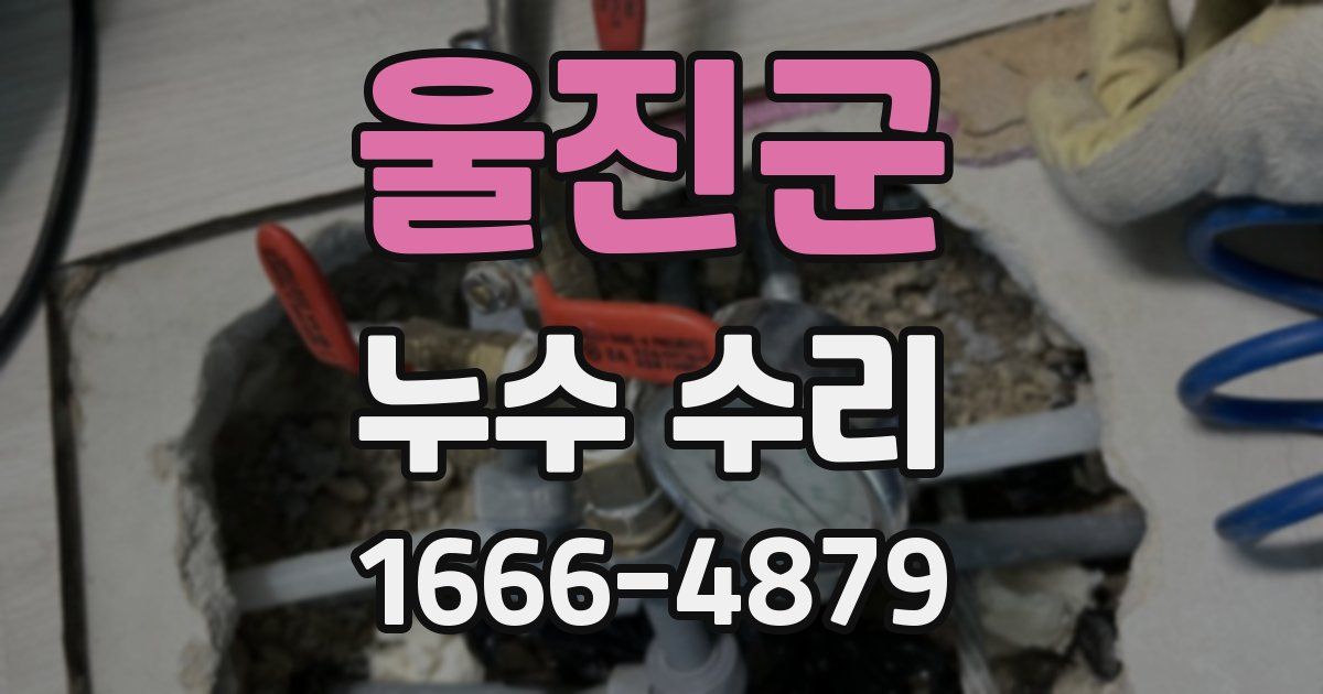 울진군 누수 수리