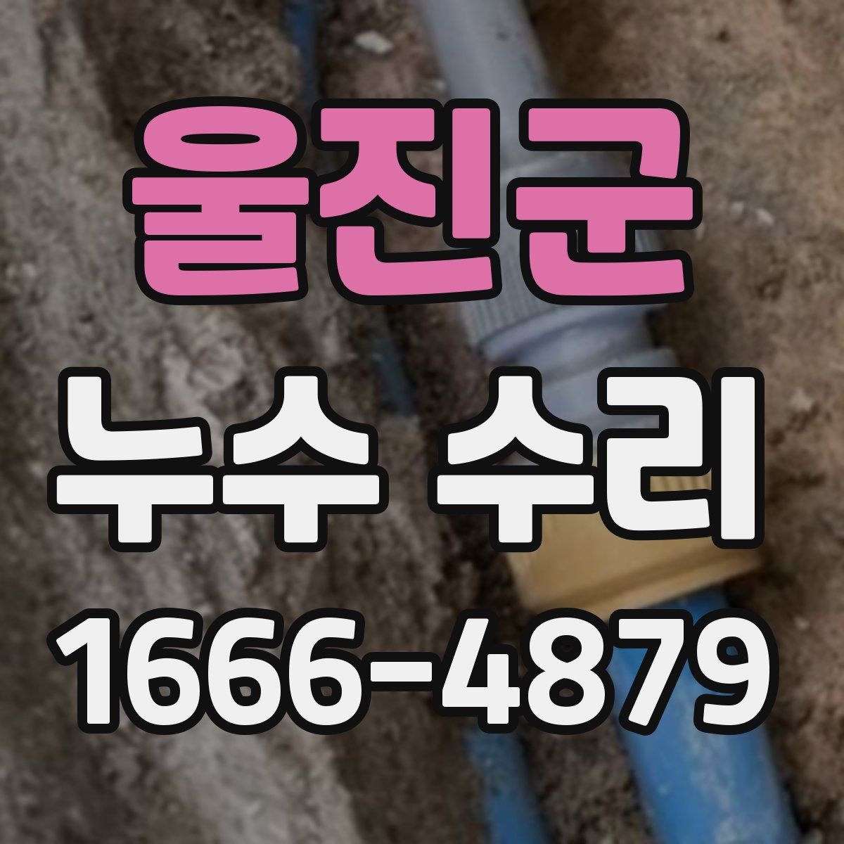 울진군 누수 수리