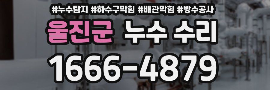 울진군 누수 수리