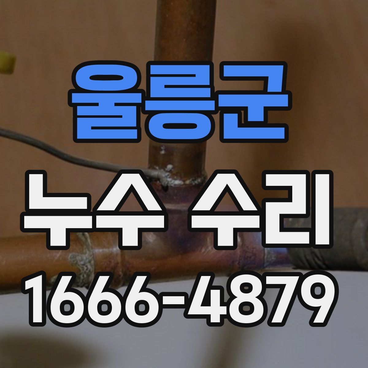 울릉군 누수 수리