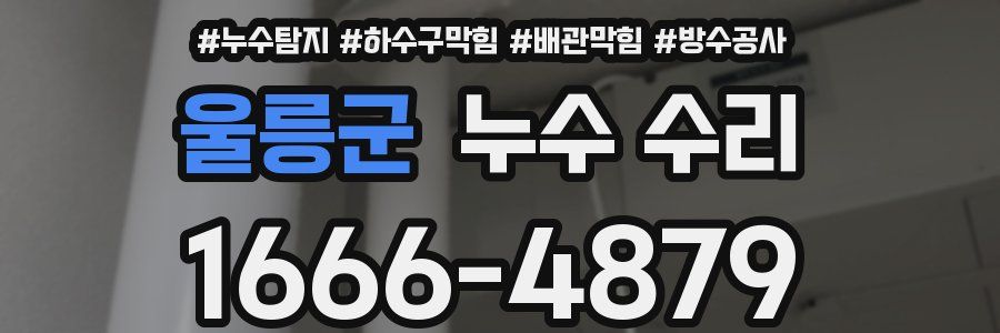 울릉군 누수 수리