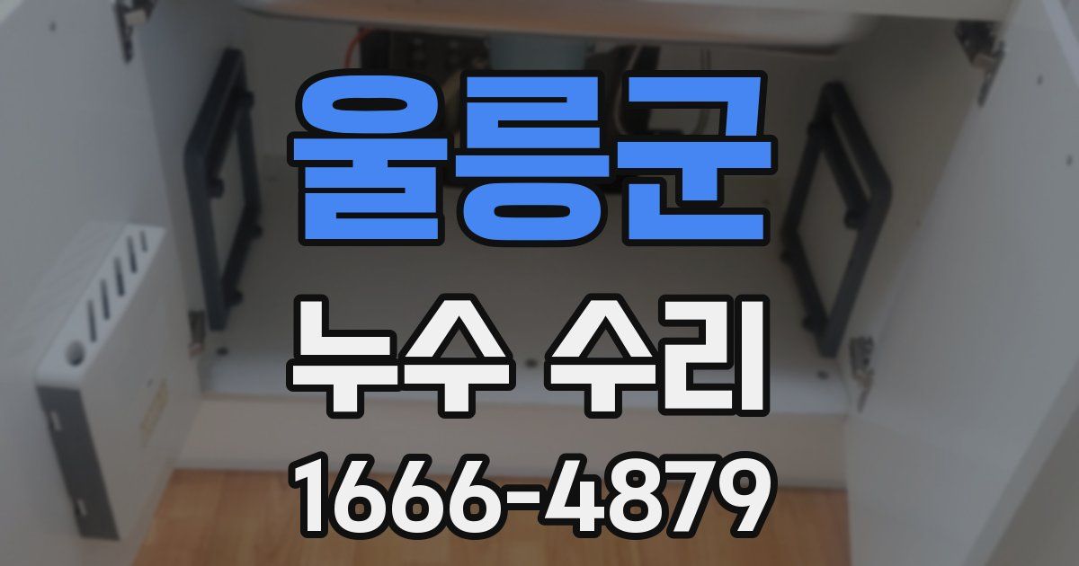 울릉군 누수 수리