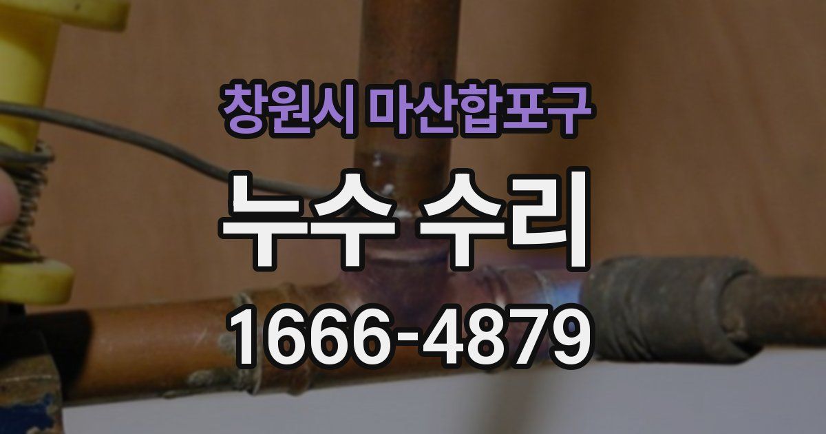 창원시 마산합포구 누수 수리