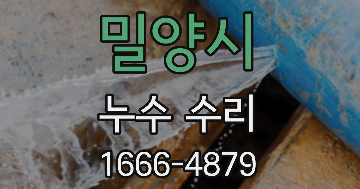밀양시 누수 수리