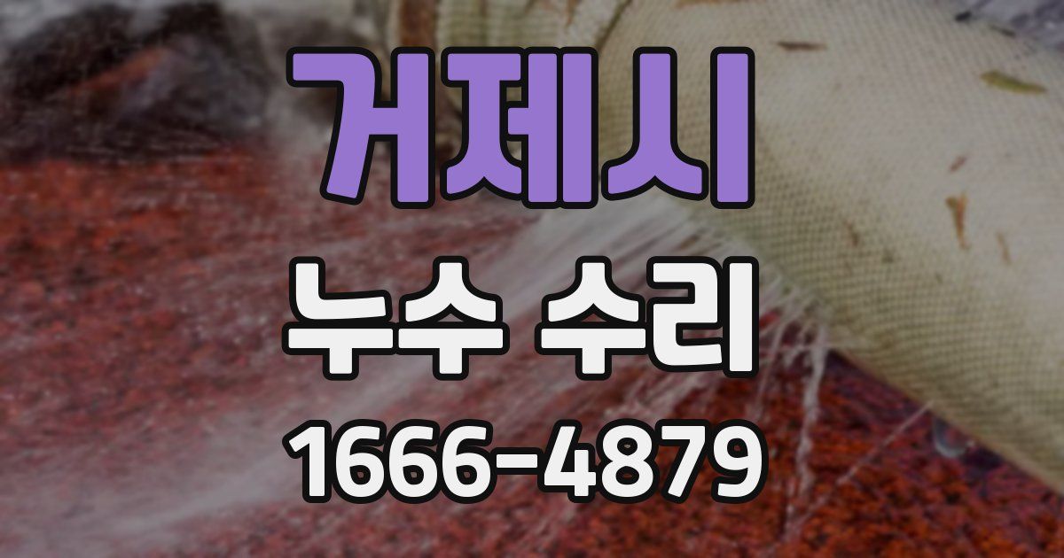 거제시 누수 수리