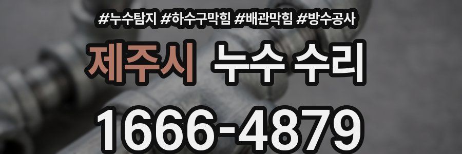 제주시 누수 수리