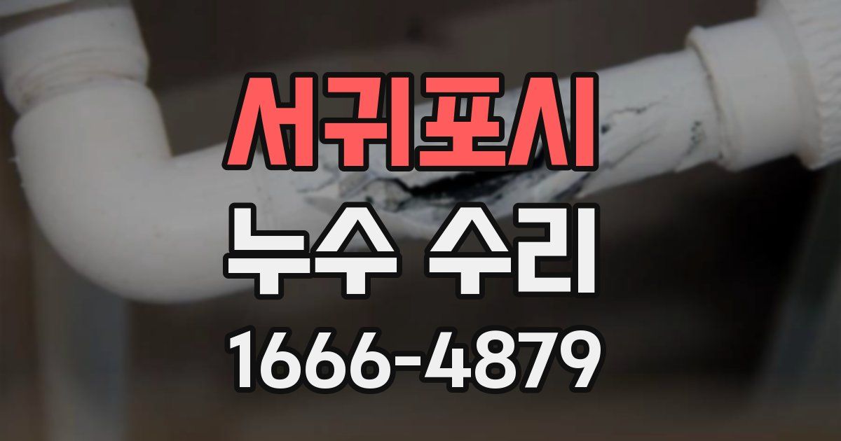 서귀포시 누수 수리