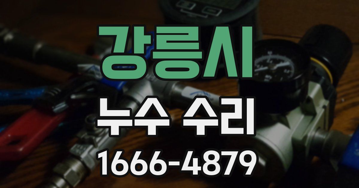 강릉시 누수 수리