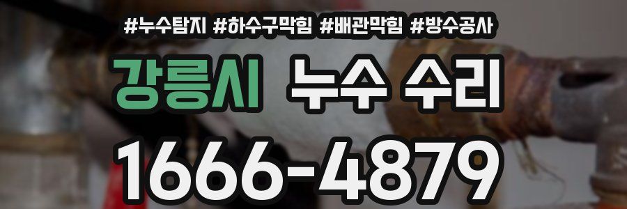 강릉시 누수 수리