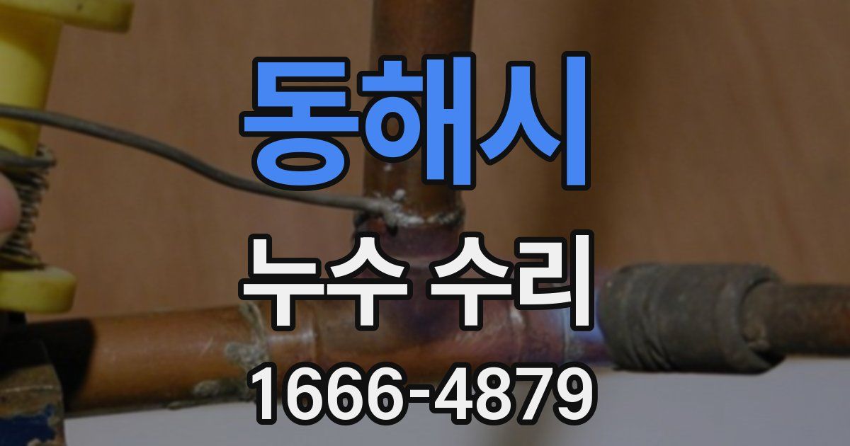 동해시 누수 수리