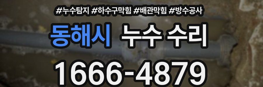 동해시 누수 수리