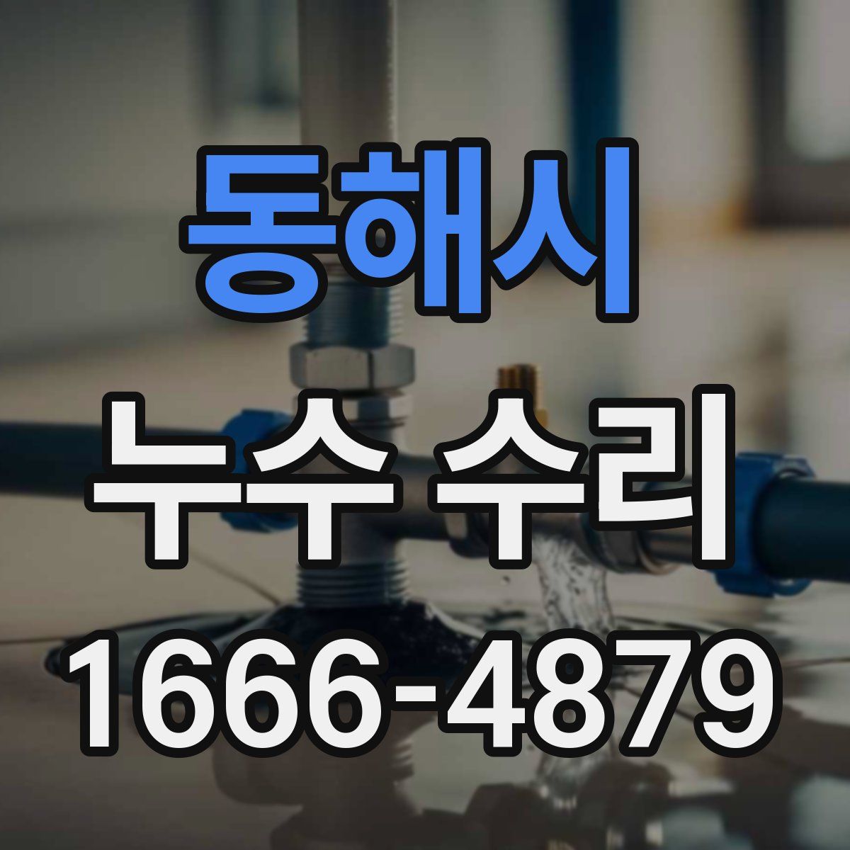 동해시 누수 수리