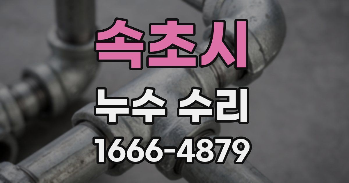 속초시 누수 수리