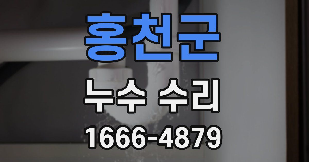 홍천군 누수 수리