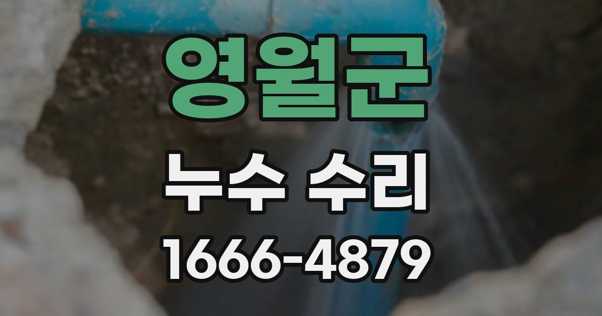 영월군 누수 수리