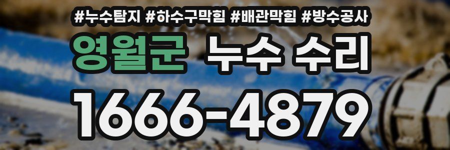 영월군 누수 수리