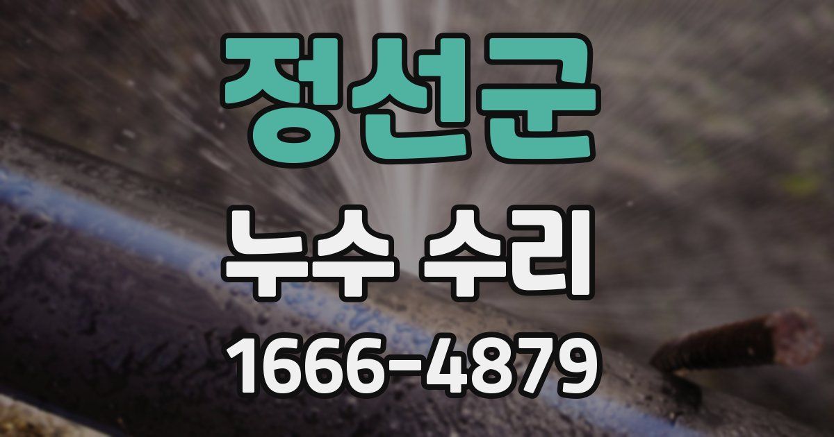 정선군 누수 수리