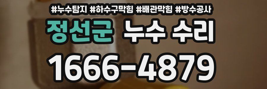 정선군 누수 수리