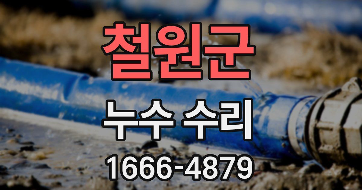철원군 누수 수리
