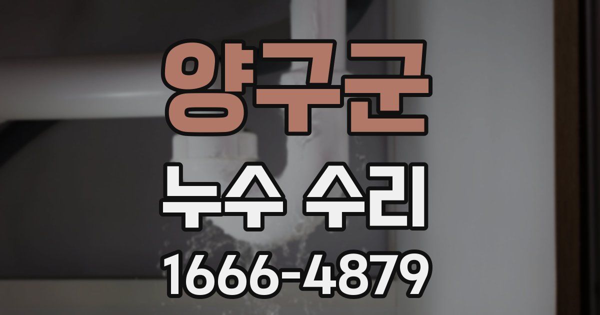 양구군 누수 수리