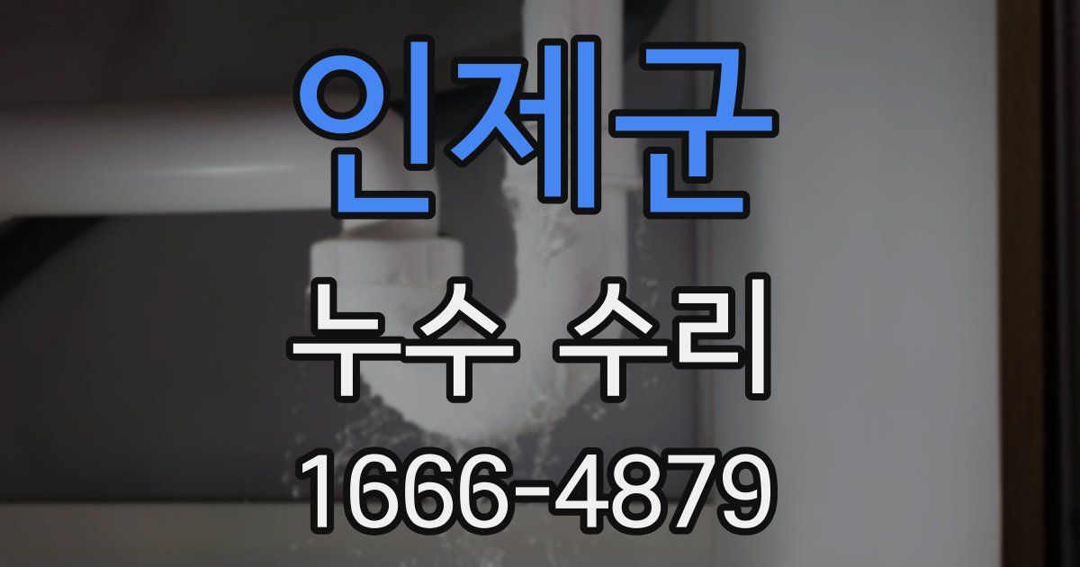 인제군 누수 수리