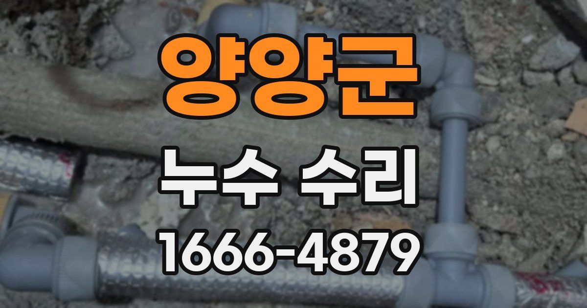 양양군 누수 수리