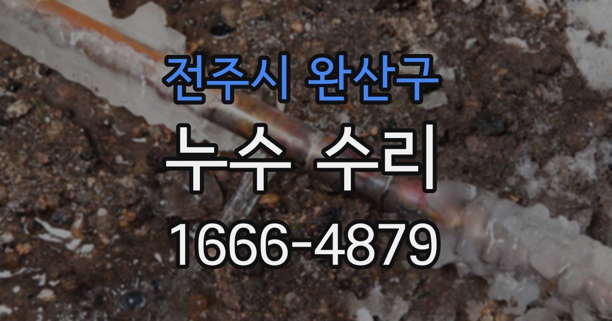 전주시 완산구 누수 수리