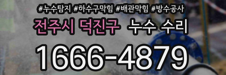 전주시 덕진구 누수 수리