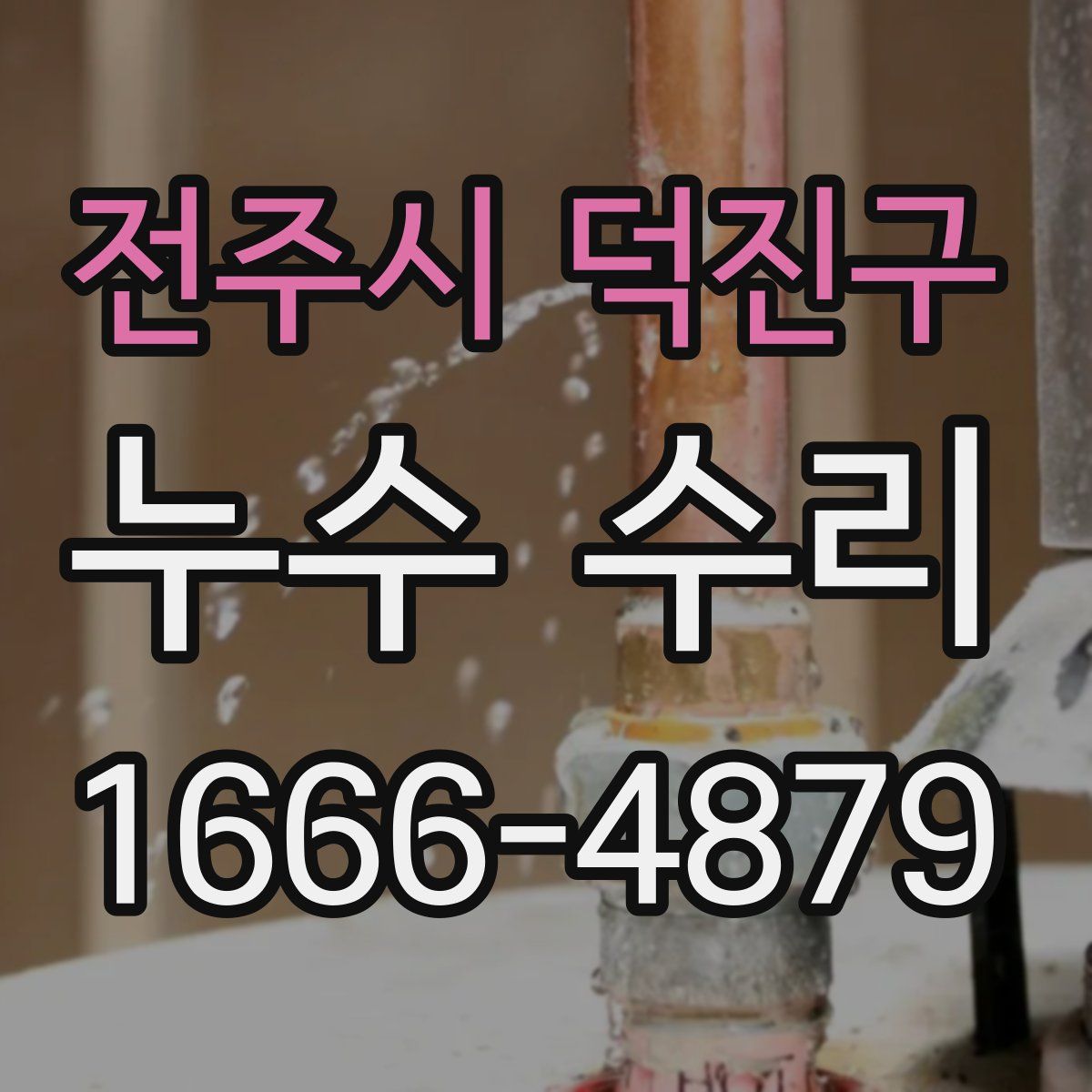 전주시 덕진구 누수 수리
