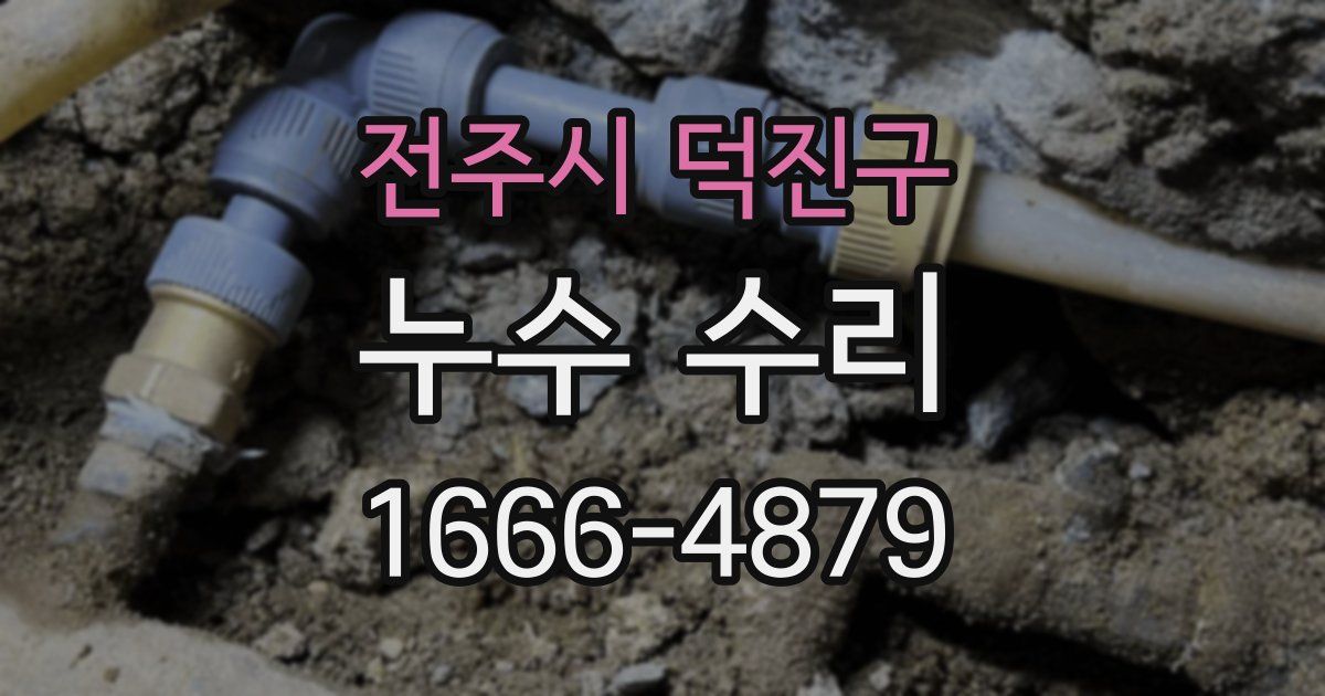 전주시 덕진구 누수 수리