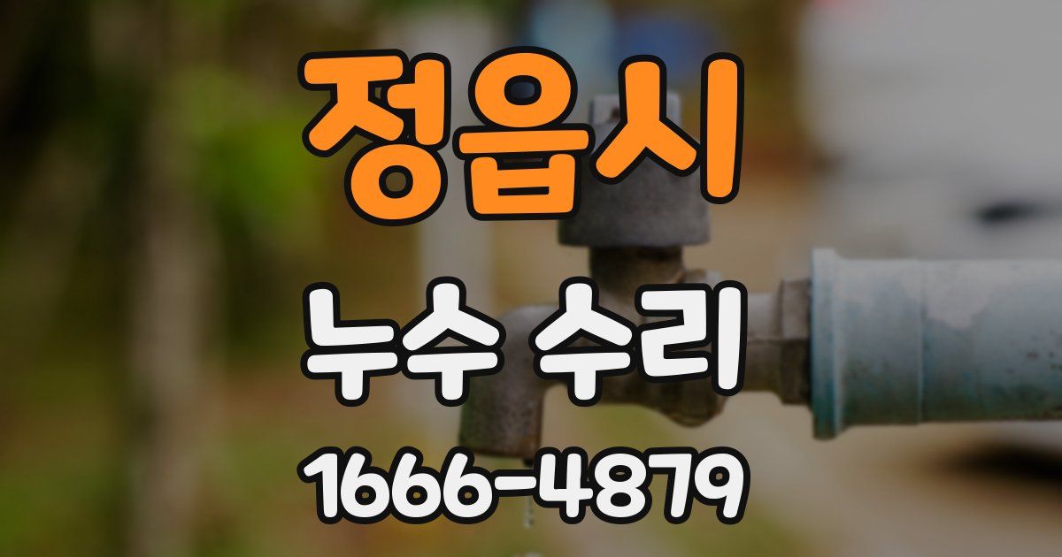 정읍시 누수 수리