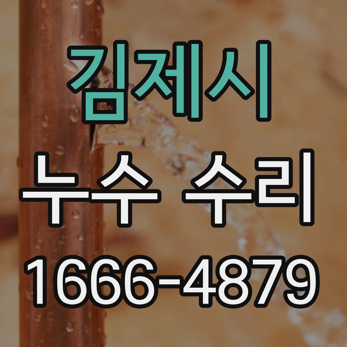 김제시 누수 수리