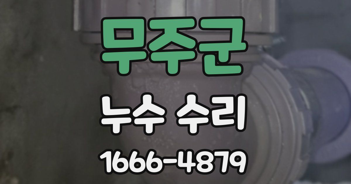 무주군 누수 수리