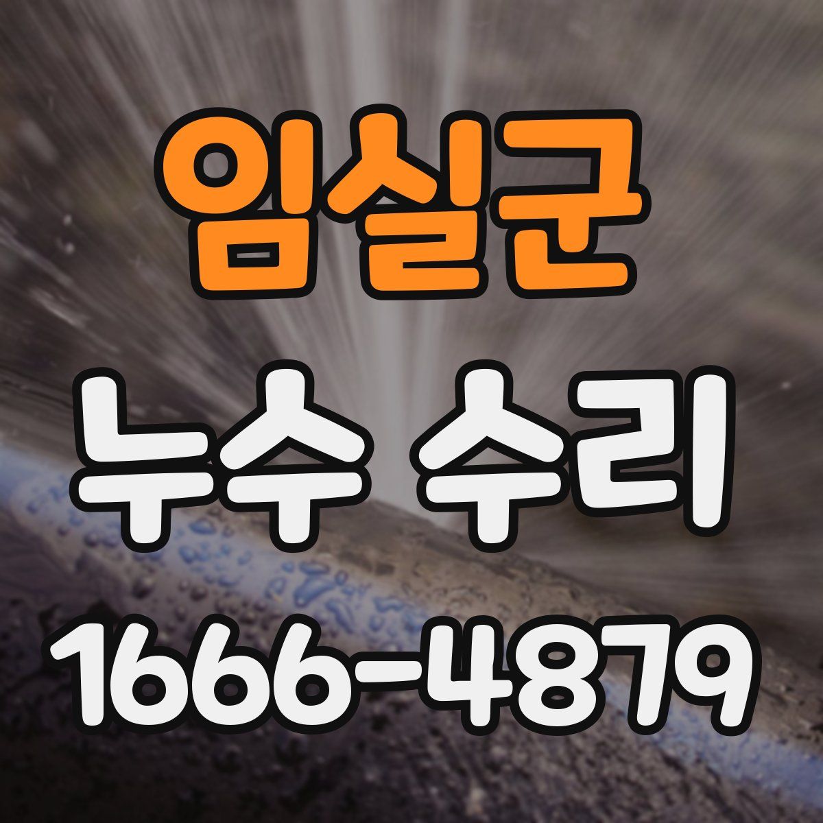 임실군 누수 수리