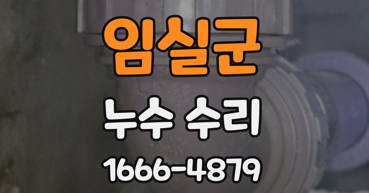 임실군 누수 수리