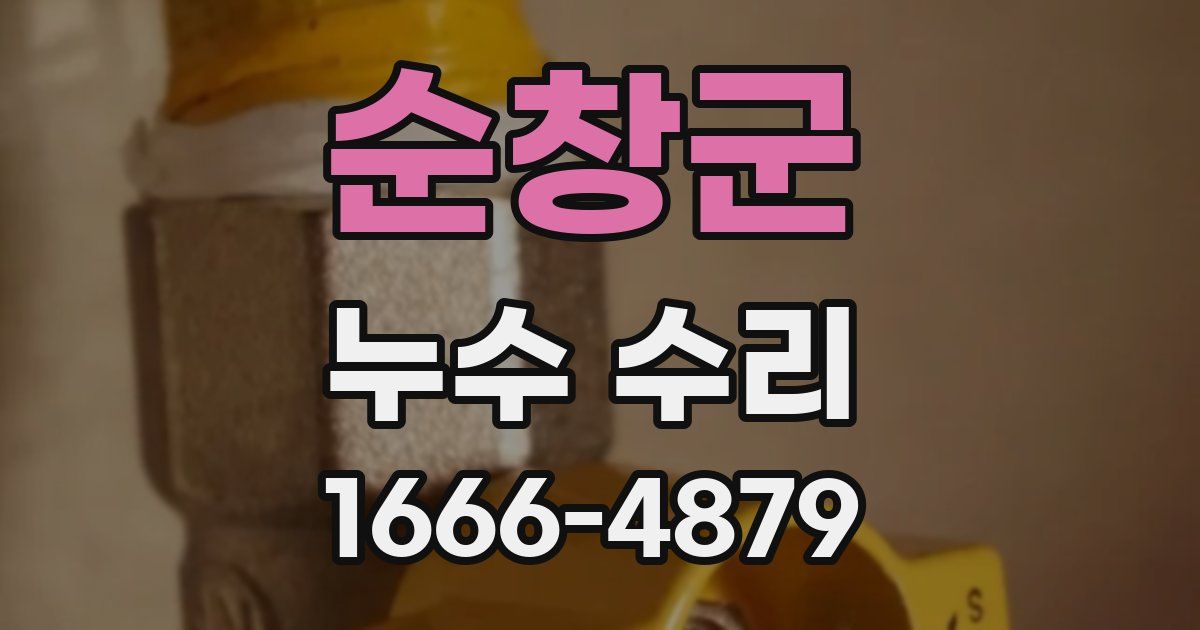 순창군 누수 수리