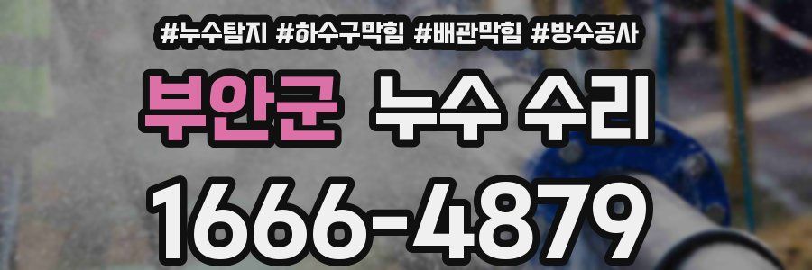 부안군 누수 수리