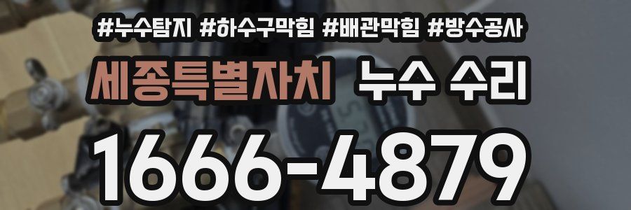 세종특별자치 누수 수리