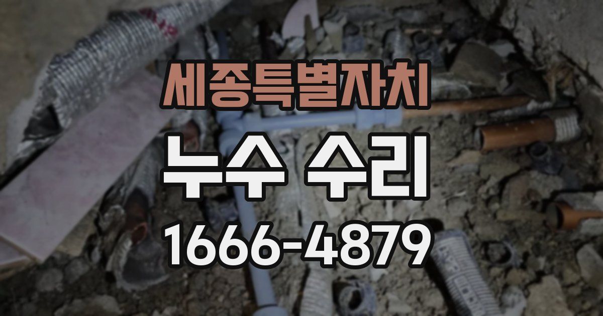 세종특별자치 누수 수리